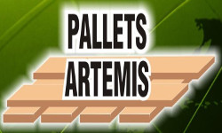 artemis-p